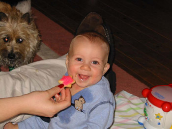 102-0297_IMG